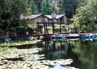 Nice shot of a private Pond/Lake by Robert Fenner